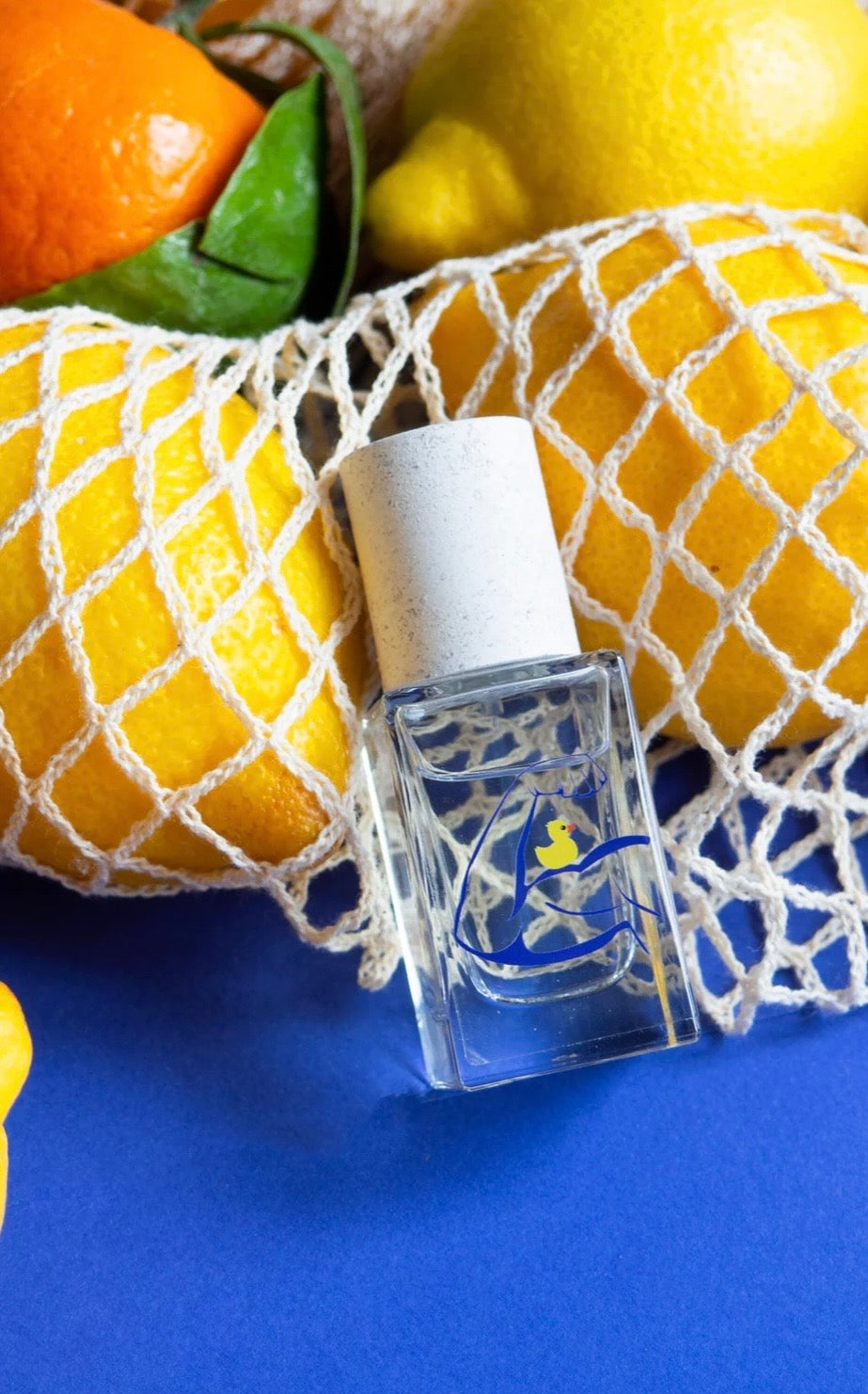 ESPRIT DE CONTRADICTION